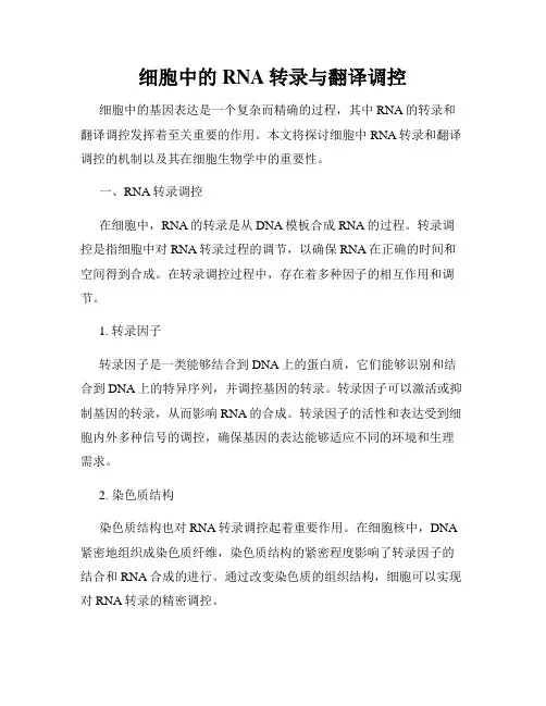 细胞中的RNA转录与翻译调控