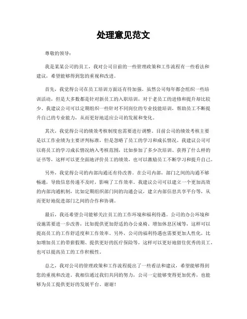 处理意见范文