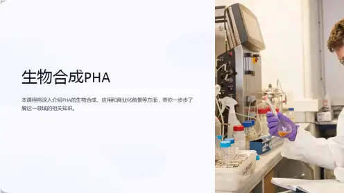《生物合成PHA》课件