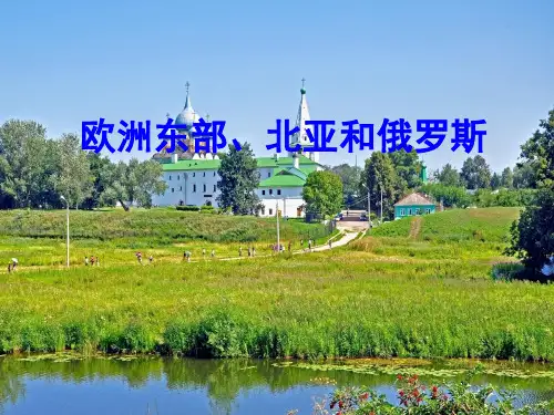 欧洲东部、北亚和俄罗斯ppt