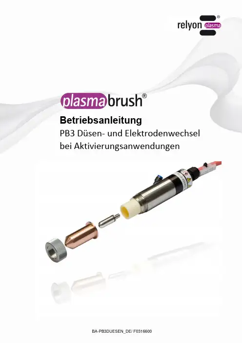 relyon plasma PB3 电源和电极替换指南说明书
