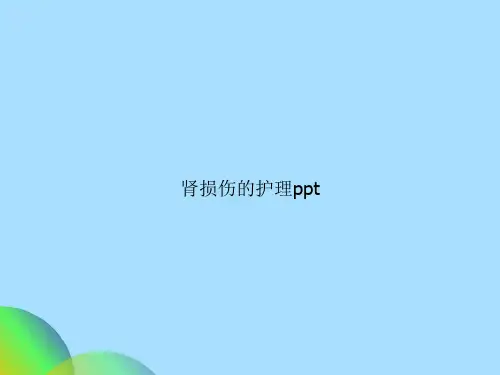 肾损伤的护理ppt