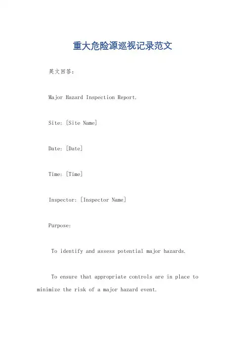重大危险源巡视记录范文