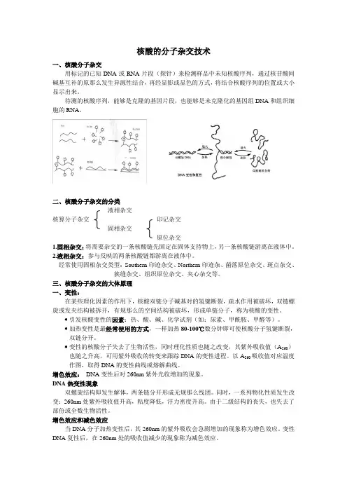 核酸分子杂交和PCR技术