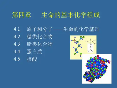 生命科学导论04-生命的基本化学组成