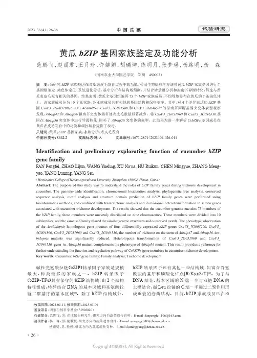 黄瓜bZIP_基因家族鉴定及功能分析