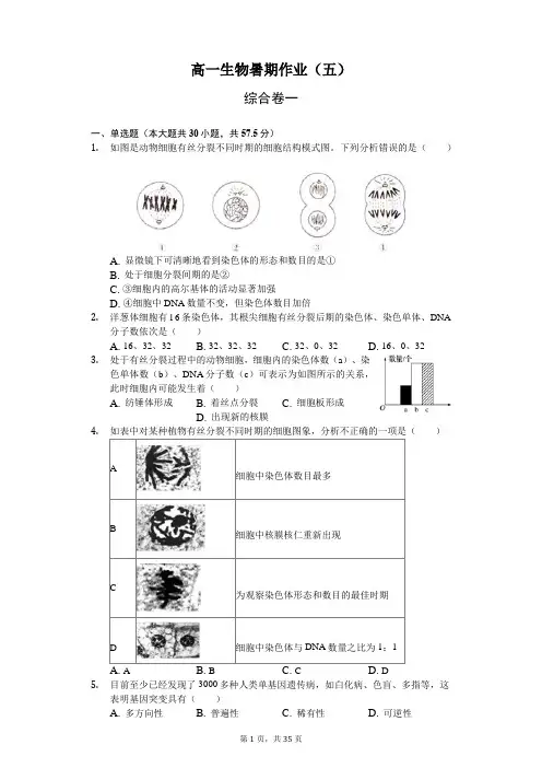 高一生物假期作业(必修二综合)带答案