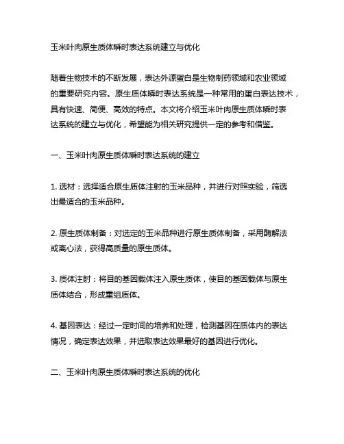 玉米叶肉原生质体瞬时表达系统建立与优化