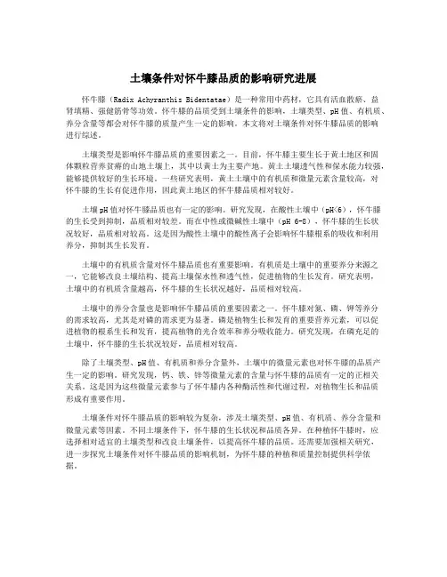 土壤条件对怀牛膝品质的影响研究进展