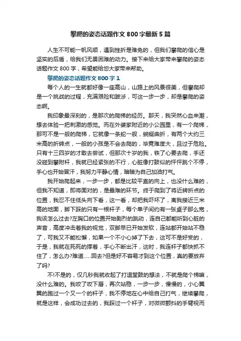 攀爬的姿态话题作文800字最新5篇
