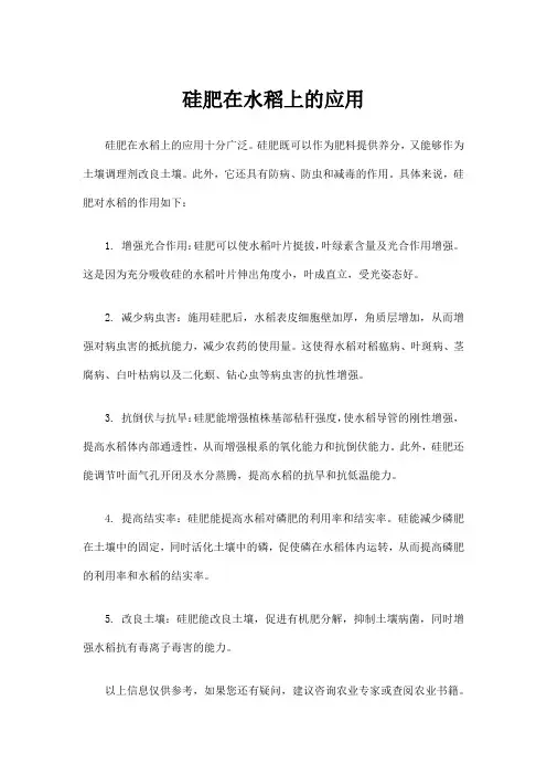 硅肥在水稻上的应用