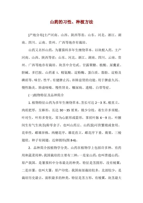 山药的习性、种植方法
