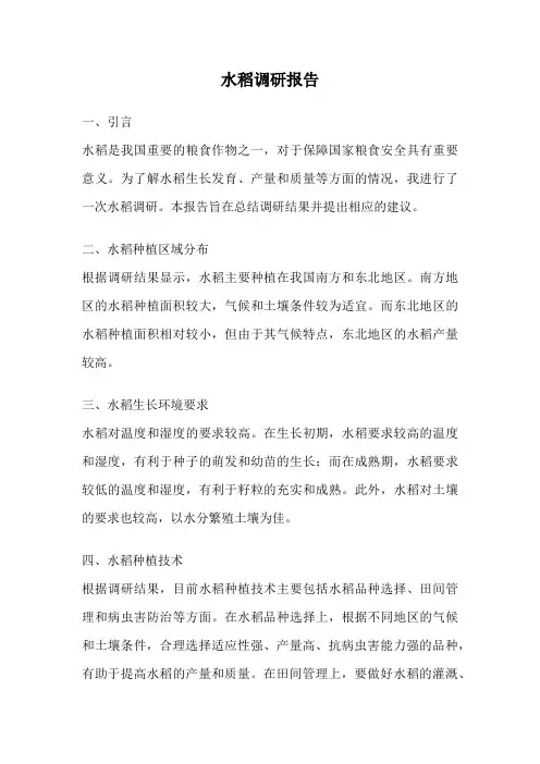 水稻调研报告