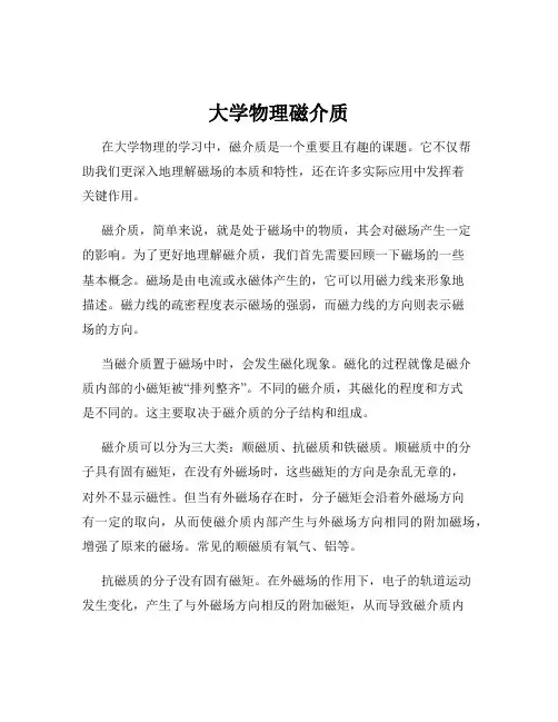 大学物理磁介质