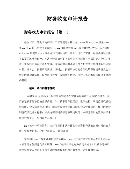 财务收支审计报告