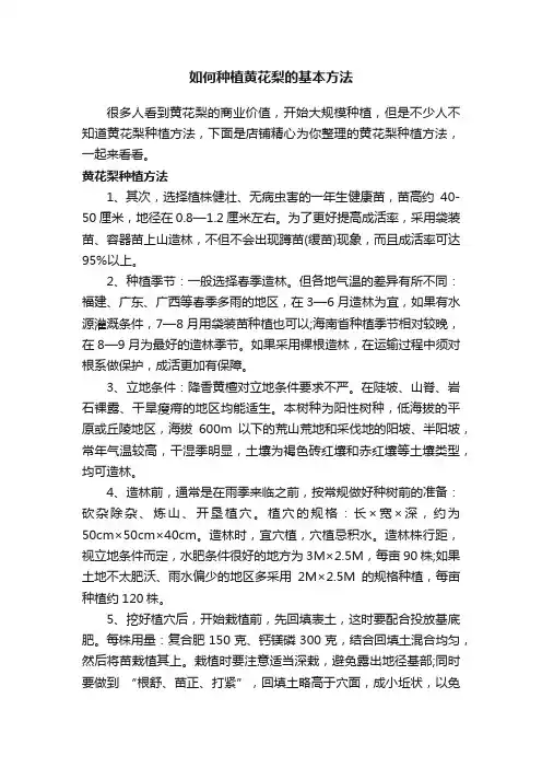 如何种植黄花梨的基本方法