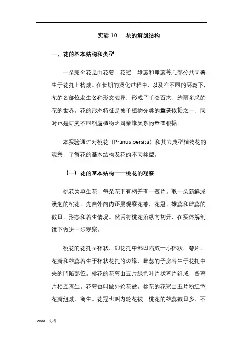 花的解剖结构