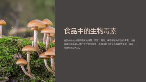 《食品中的生物毒素》课件