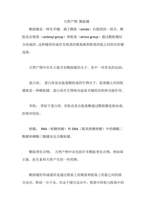天然产物 酰胺键