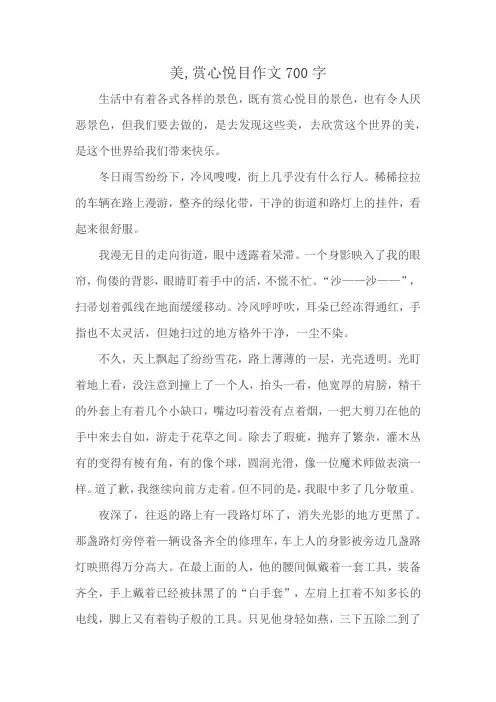 美,赏心悦目作文700字