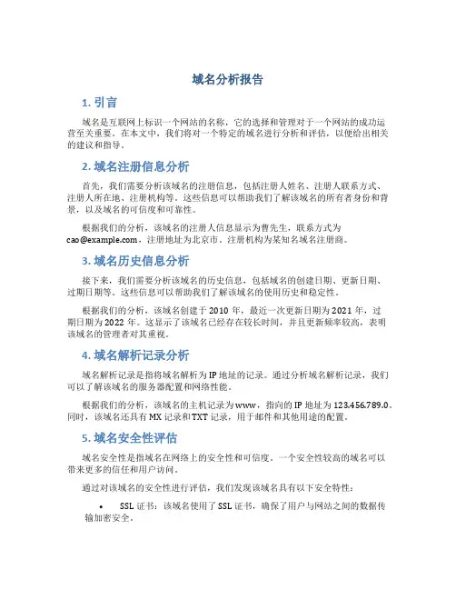 域名分析报告