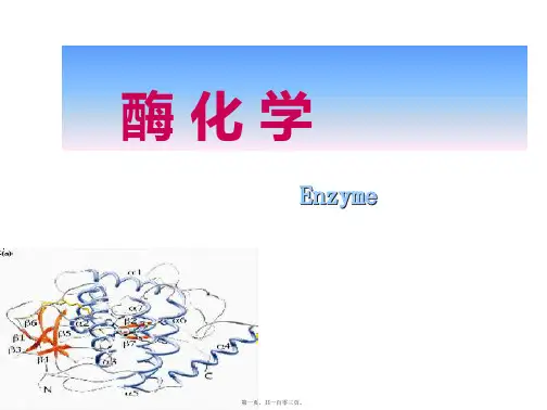 生物化学之酶化学 教学课件(共103张PPT)