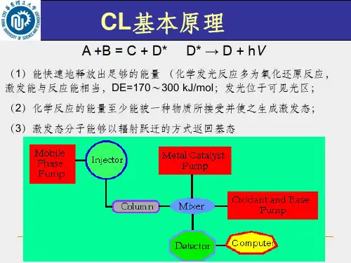 化学发光PPT课件