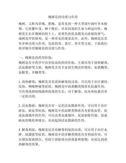 槐树花的功效与作用