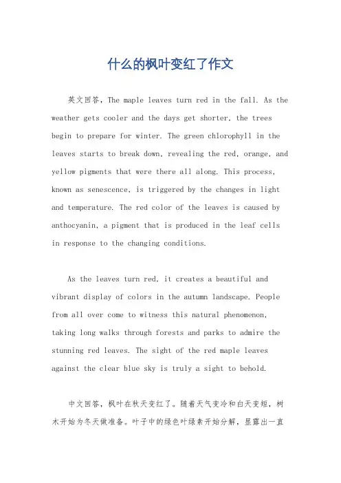 什么的枫叶变红了作文