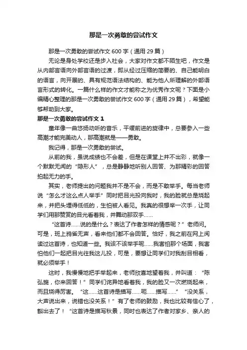 那是一次勇敢的尝试作文