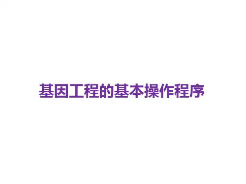 基因工程的基本操作程序   课件