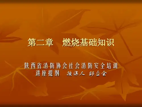 第二章    燃烧基础知识