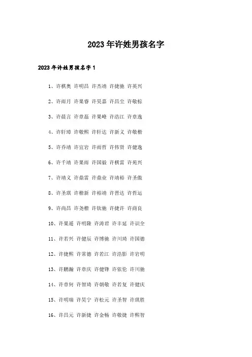 2023年个性_许姓男孩名字