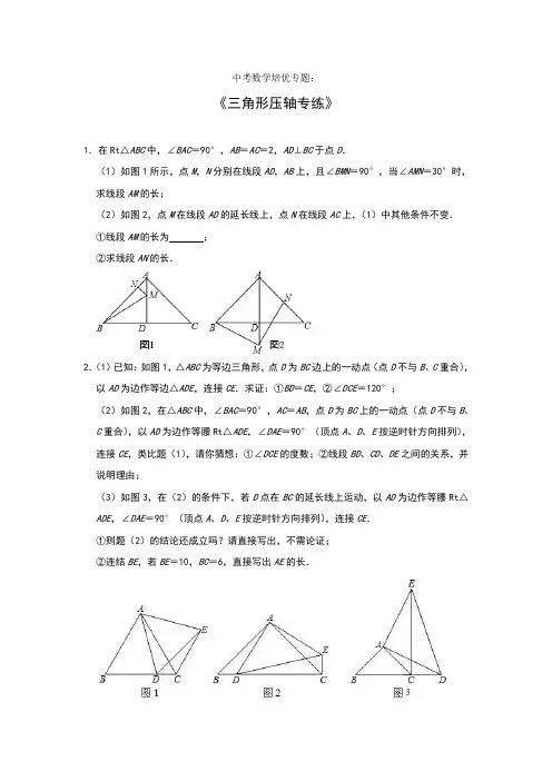 2021年中考数学 培优专题：三角形压轴专练(含答案)