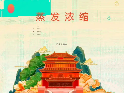 蒸发浓缩工艺-展示版