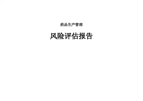 2.药品生产过程风险评估报告