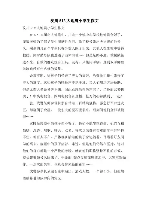 汶川512大地震小学生作文