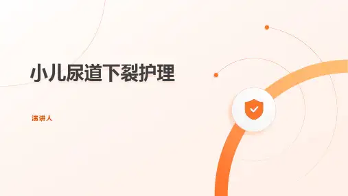小儿尿道下裂护理课件