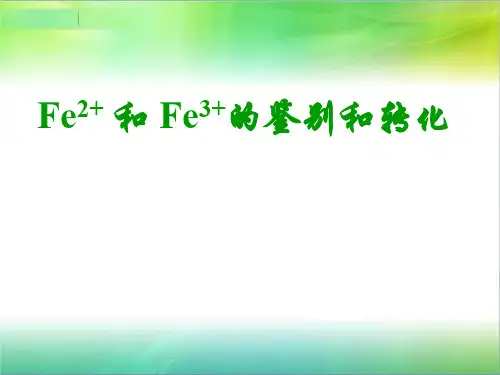 铁盐与亚铁盐 课件