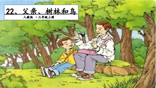 人教部编版语文《父亲、树林和鸟》优秀PPT2