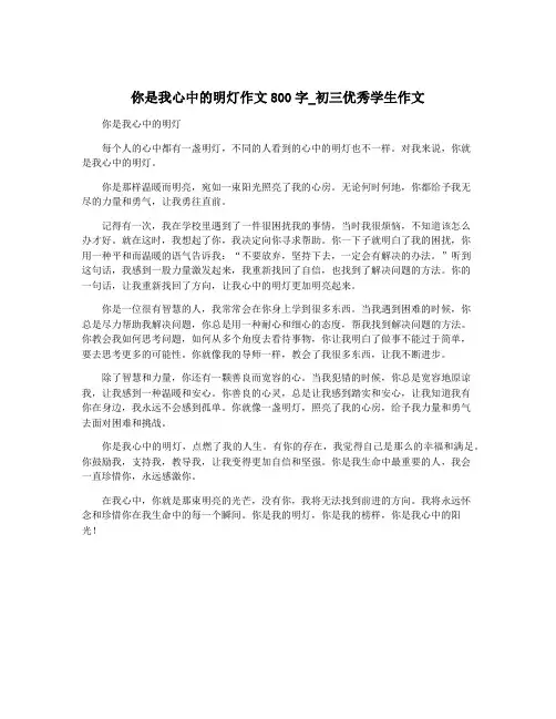 你是我心中的明灯作文800字_初三优秀学生作文