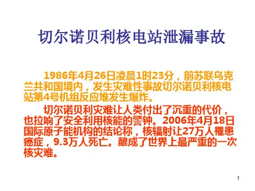 切尔诺贝利核电站泄漏事故