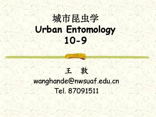 城市昆虫学-9