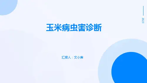 玉米病虫害诊断