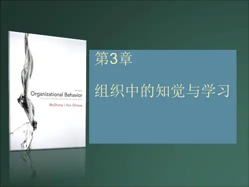 组织行为学 第3章 组织中的知觉和学习.