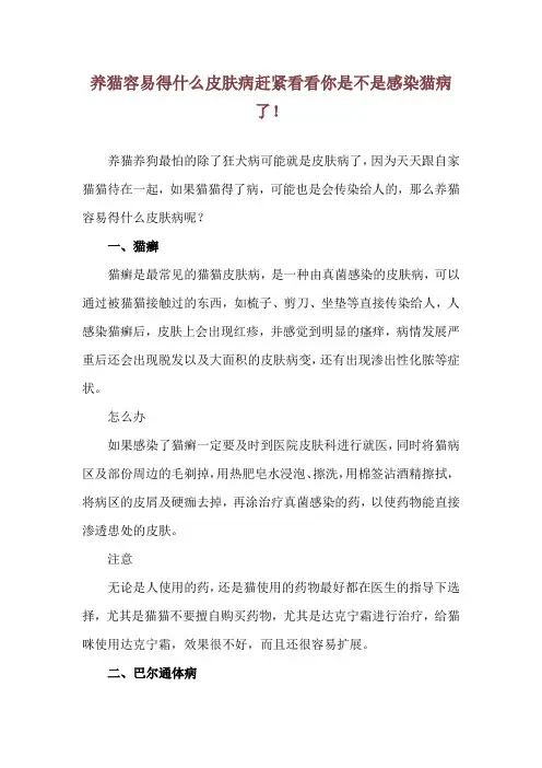 养猫容易得什么皮肤病 赶紧看看你是不是感染猫病了!