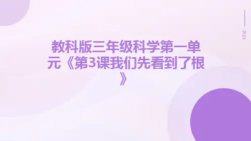 教科版三年级科学第一单元《第3课我们先看到了根》
