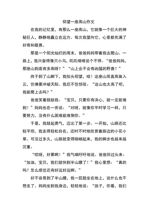 仰望一座高山作文