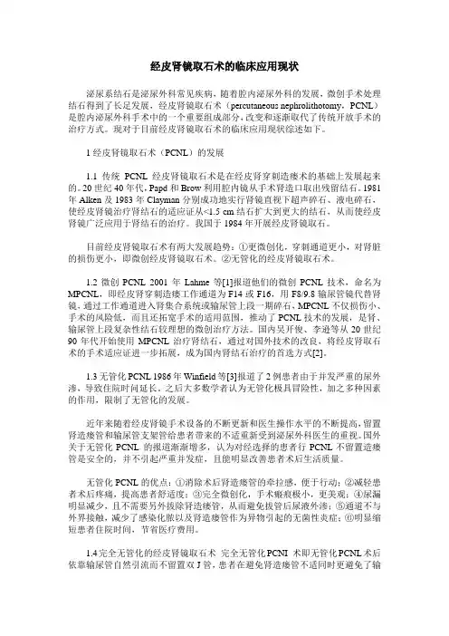 经皮肾镜取石术的临床应用现状