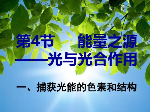 优选教育人教版高中生物必修一第五章第4节《能量之源——光和光合作用》优秀课件(79张)(共79张PPT).ppt